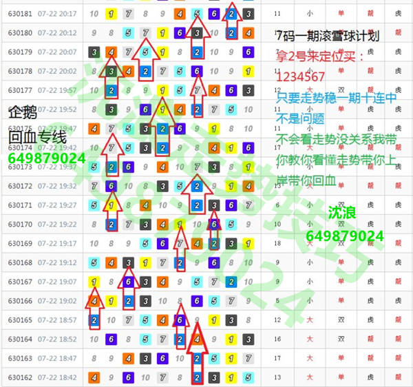 财经报 第29页