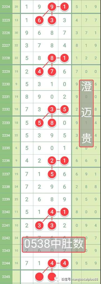 《2024一码一肖200期出什么》